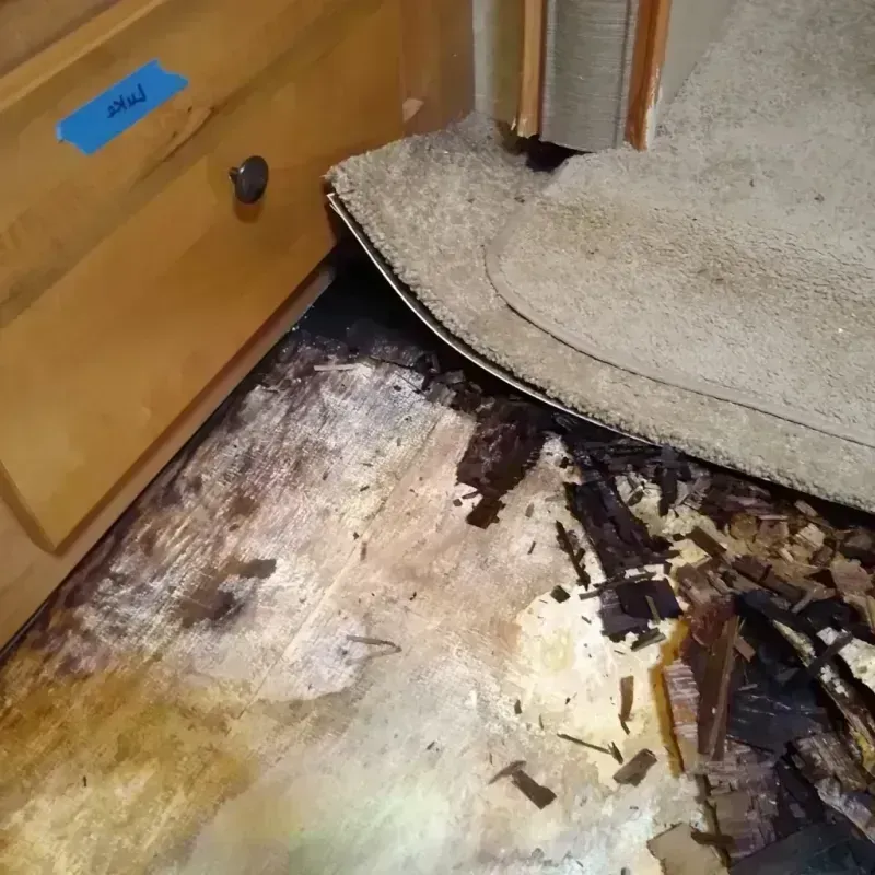 Wood Floor Water Damage in Ama, LA